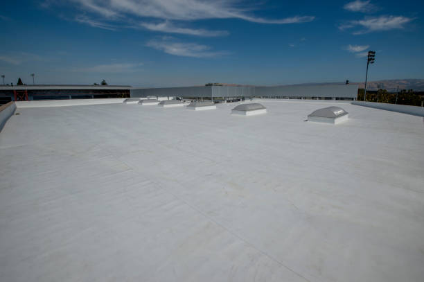 Best Roof Leak Repair  in The Galena Territory, IL