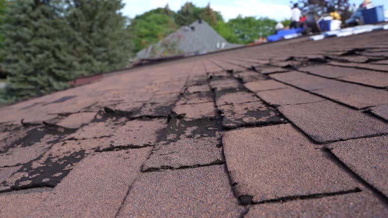 Best Rubber Roofing (EPDM, TPO)  in The Galena Territory, IL