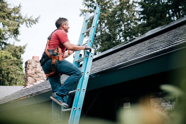 Best Solar Panel Roofing Installation  in The Galena Territory, IL