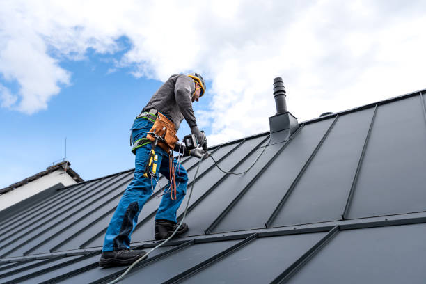 Best Gutter Installation and Repair  in The Galena Territory, IL